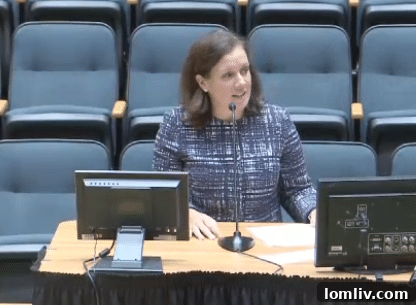 Jennifer Scripps, President and CEO of Downtown Dallas Inc., speaking at an event