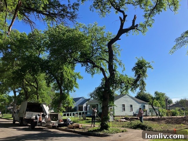 Olerio Homes Developer Shady Past Predictable Future 3 Image depicting Elm Thicket/Northpark neighborhood dynamics.