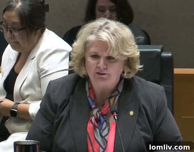 Dallas Council Poised to Ratify Budget Tax Rate Wednesday 5 District 12 Councilwoman Cara Mendelsohn addressing the council