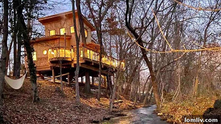 Annie Leibovitz's Retrospective: North Texas Realtors Flock to Bentonville 16 Luxury treehouse Airbnb in Fayetteville with scenic views