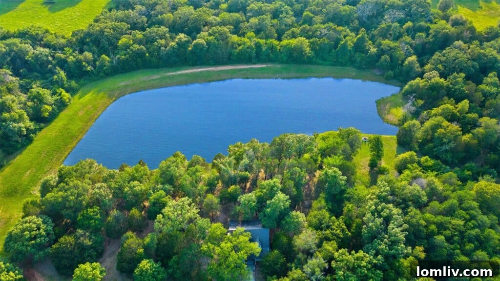 Serene Pond View from Wills Point House Overlooking Natural Landscape