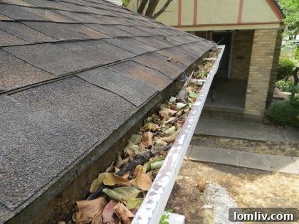 Clogged rain gutter with autumn leaves