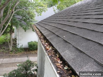Leaves accumulating on a gutter screen