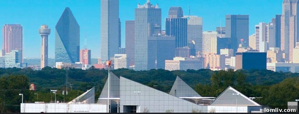 Dallas skyline representing economic development