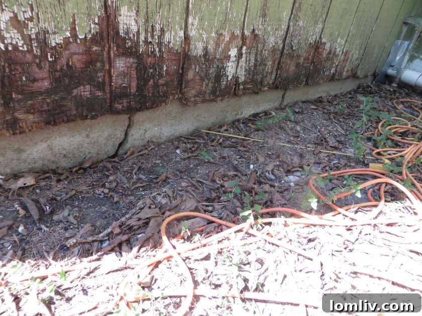 Foundation Repair: The North Texas Nightmare 7 Horizontal crack in a foundation beam, indicating serious structural stress.