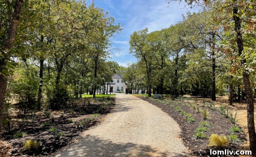 Aerial view of the custom lakefront home in Oak Point, showing the expansive lot and proximity to Lewisville Lake.