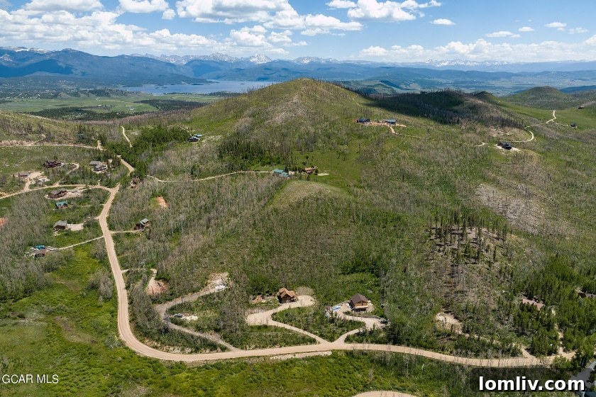 Colorado mountain landscape with trees