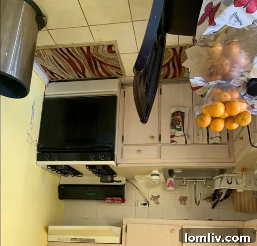 Wide Awake Potential: A Charming Fixer-Upper 8 Kitchen Renovation Project South Ozone Park