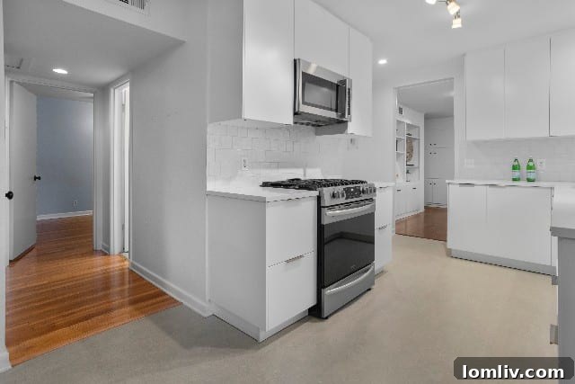Modern open kitchen with ample cabinet space and counter tops, connecting seamlessly to a large family room