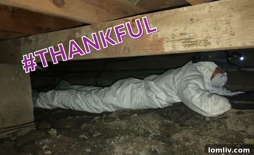 Upon Closer Inspection: A Home Inspector's Thanksgiving Gratitude