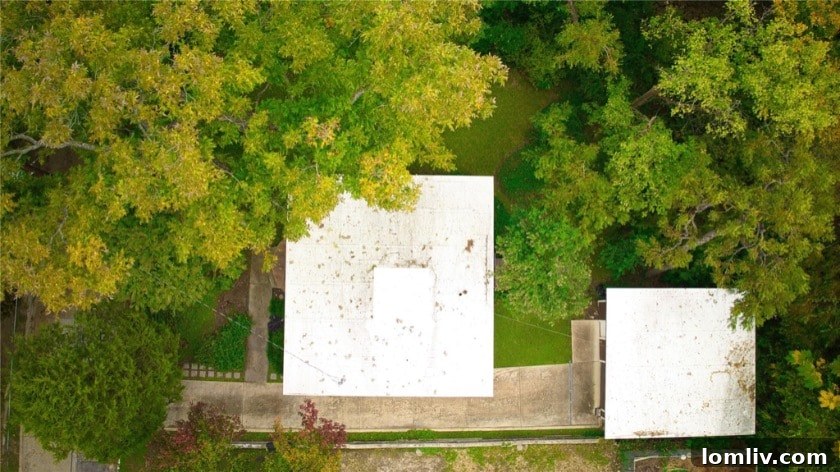Lush greenery surrounding the Moderne home, enhancing its natural beauty