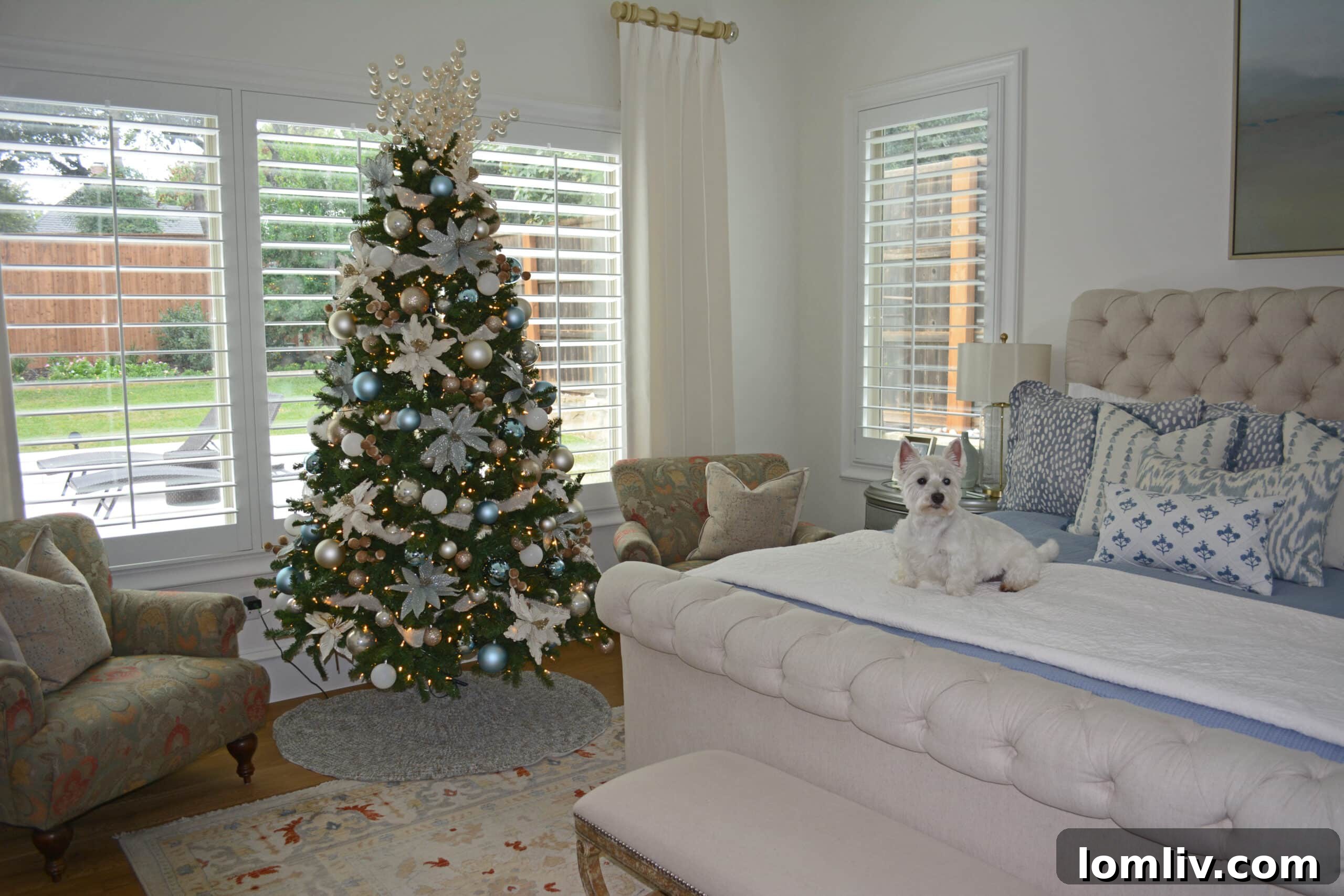 Colleyville Holiday Homes Today, Southlake Tours Next Week 11 A charming scene with festive Christmas decor and a friendly dog, bringing extra cheer and a personal touch to a holiday home.