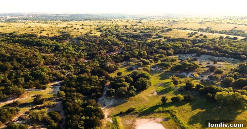 Kelly Ranch Aledo: $100M Golf Course Takes Center Stage in New Upscale Community 3 Kelly Ranch Golf Club will feature an 18-hole championship course and a state-of-the-art golf practice facility set amidst the rugged hills of Aledo, Texas.