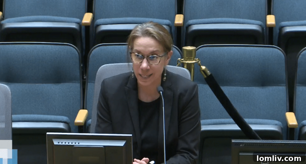 Interim Planning and Urban Design Director Andrea Gilles discusses ForwardDallas