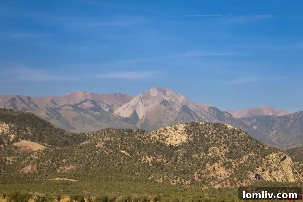 Rolling hills and private landscape of Wildflower Ranch, ideal for equestrian activities.