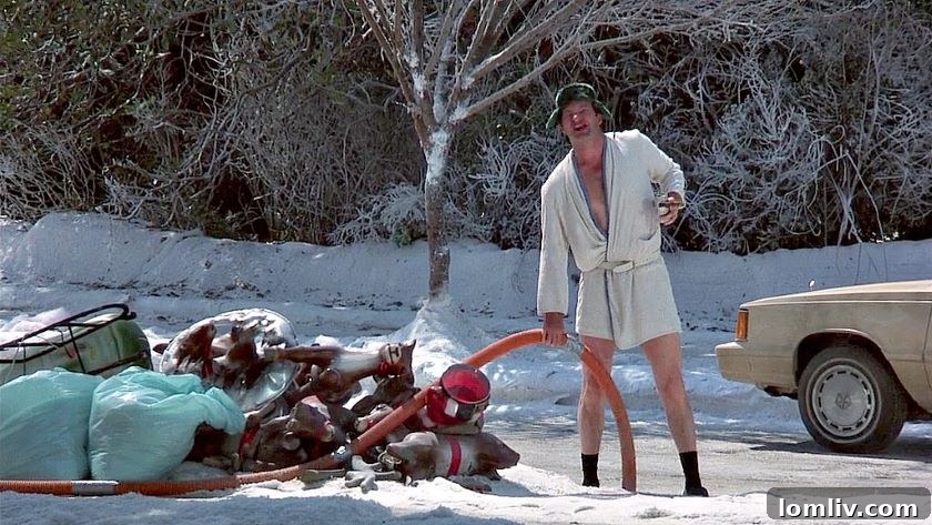 Christmas Vacation