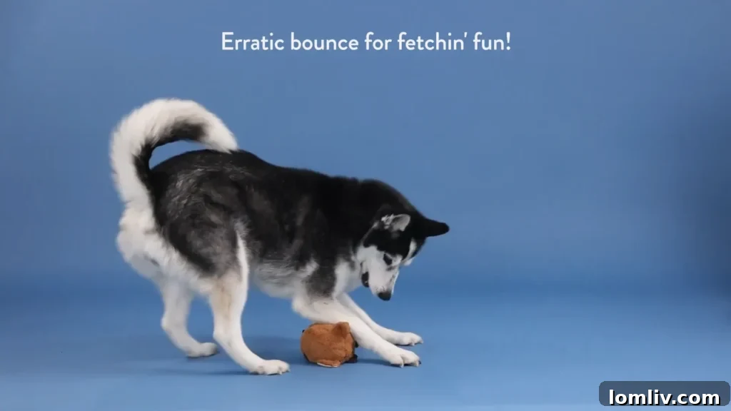 62 Lucrative Products Dominating 2024 Sales 13 A dog playing with an interactive puzzle toy