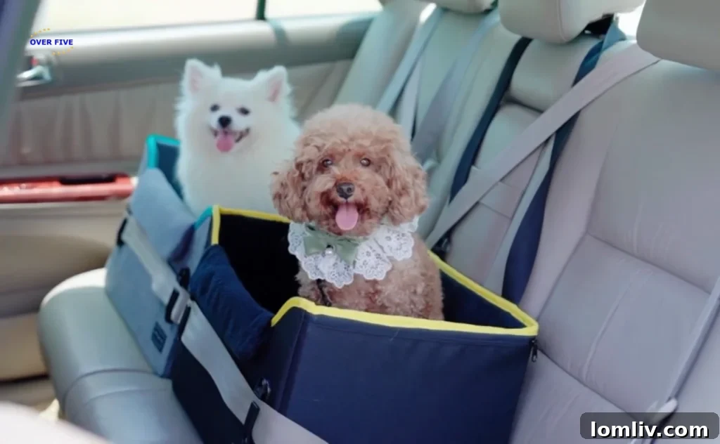 62 Lucrative Products Dominating 2024 Sales 14 A dog comfortably riding in a car with specialized travel accessories