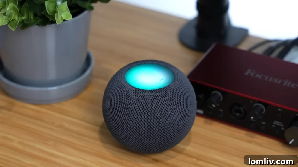 62 Lucrative Products Dominating 2024 Sales 3 A person interacting with a smart speaker