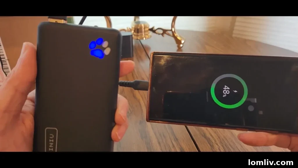 62 Lucrative Products Dominating 2024 Sales 23 A portable power bank charging a smartphone outdoors