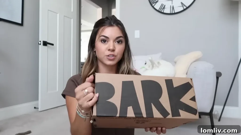 62 Lucrative Products Dominating 2024 Sales 47 A BarkBox subscription box overflowing with dog toys and treats