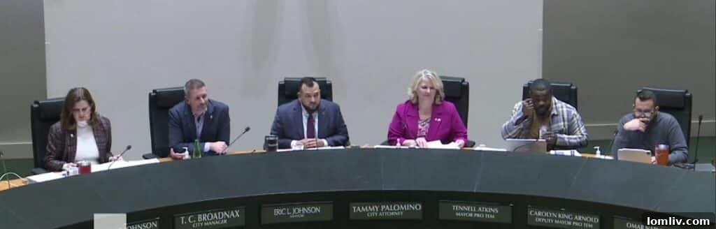 Dallas City Council's Housing and Homelessness Solutions Committee reviewing the HOPE report on January 18.