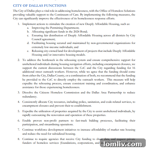 The full HOPE Report, a foundational document for Dallas's homelessness strategy.