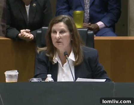 Councilwoman Gay Donnell Willis speaks at a Dallas City Council meeting.