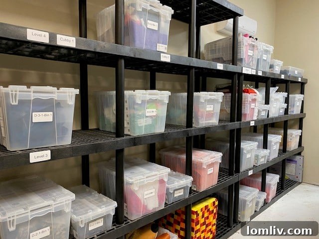 A beautifully organized pantry showcasing various containers and labels, representing the work of a professional organizer.