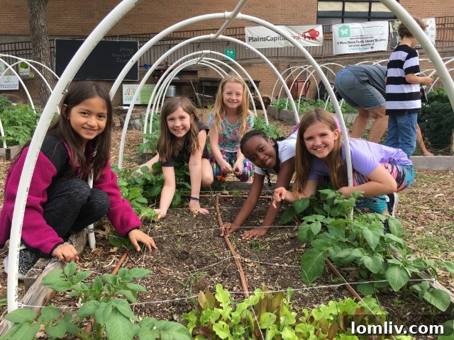 Children engage in hands-on learning at Moss Haven Farm's vibrant outdoor garden. They are actively participating in gardening tasks, surrounded by lush plants and educational signs. This image highlights the farm's role as a living classroom, where students connect with nature and learn about sustainable agriculture. The 'A Peep At the Coops' event directly supports these invaluable learning experiences, fostering environmental stewardship and curiosity in young minds.