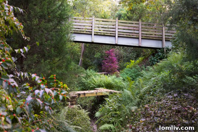 Ten acres of trails, meadows, and forests on the 3201 Wendover property