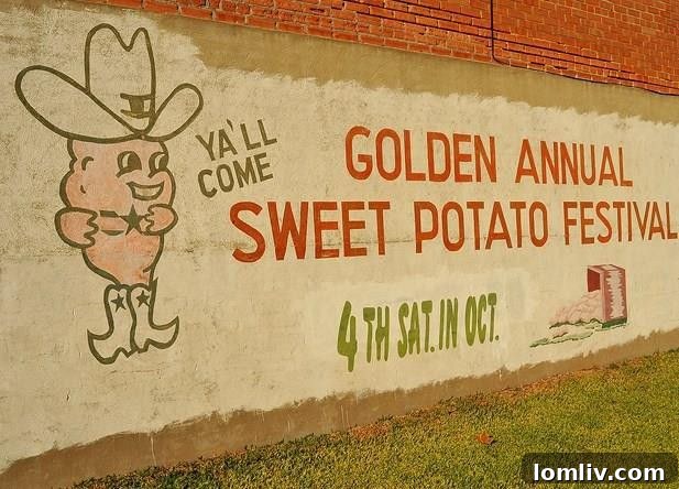 Unique East Texas Home Golden