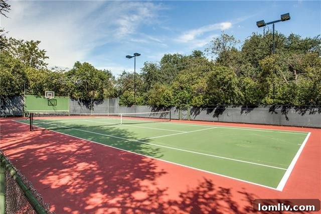 Professional-grade, lighted tennis court for day and night play