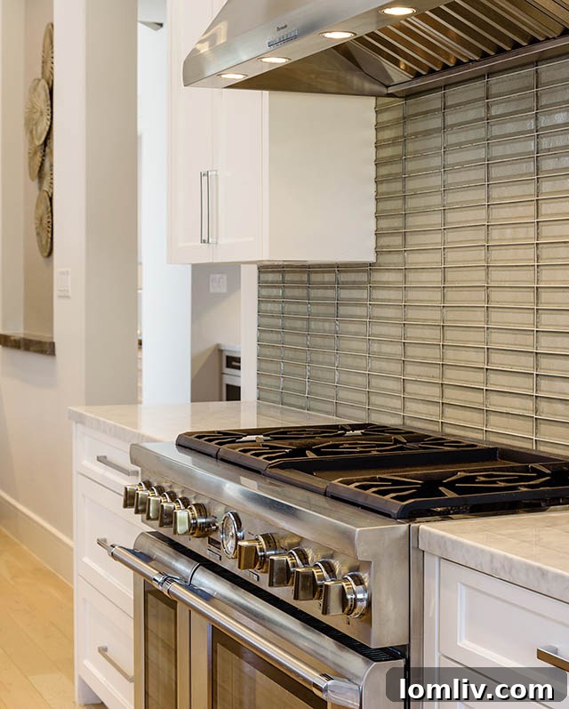 High-end commercial stainless steel kitchen appliances