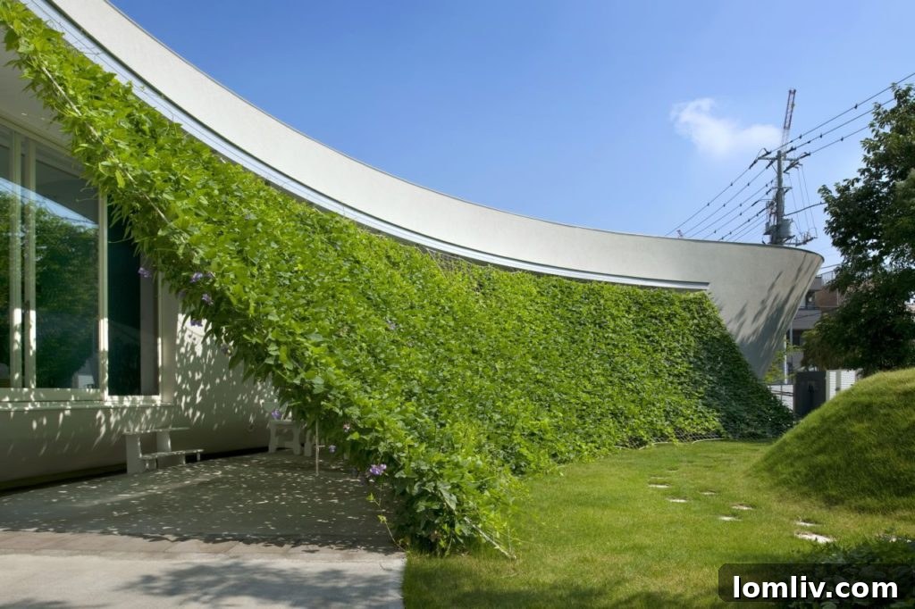 A green roof concept designed to mask rooftop air-conditioner units, enhancing urban aesthetics.