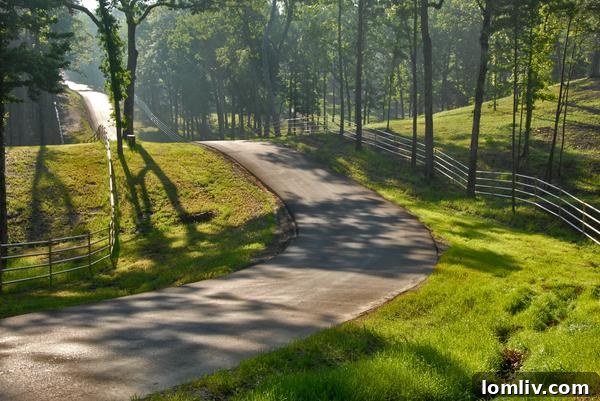 Timber Creek Ranch's Serene Lake View