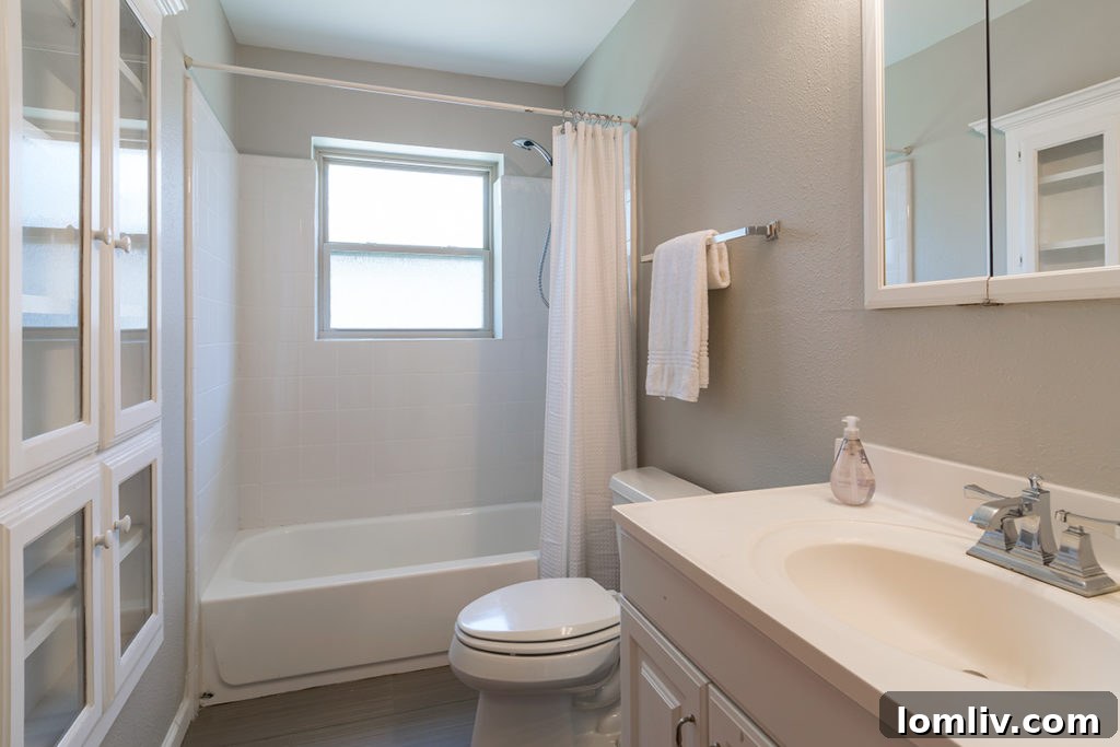 Modern Bathroom Vanity and Fixtures