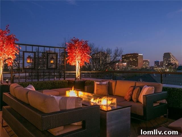 Rooftop Deck with Hot Tub and Dallas View