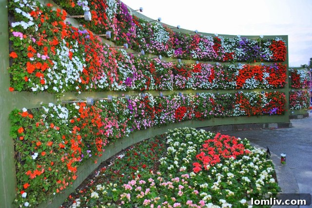 Proposed Green Wall for Urban Beautification