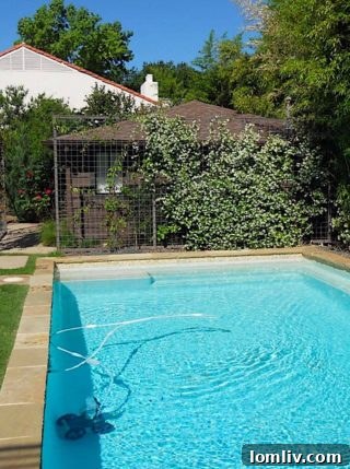 Another before photo of the pool area and old pool house from a different angle