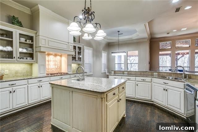6409 Avalon Woods Dr McKinney - Gourmet Kitchen