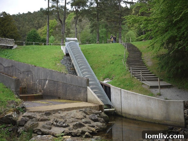 Archimedes’ screw for hydroelectric power at Cragside
