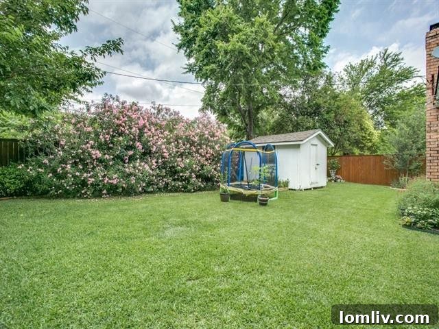 Close-up of Backyard Green Space