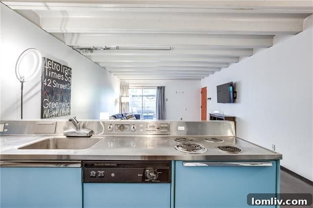Dallas Mid-Century Modern Kitchen