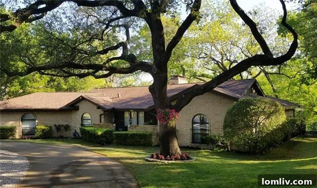 The tranquil waters of Malon Creek bordering the property, offering serene waterfront views and a natural oasis.