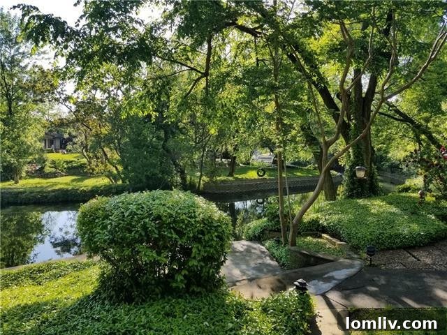 A picturesque view of the Malon Creek's calm waters and lush banks from the private backyard of the Farmers Branch home.