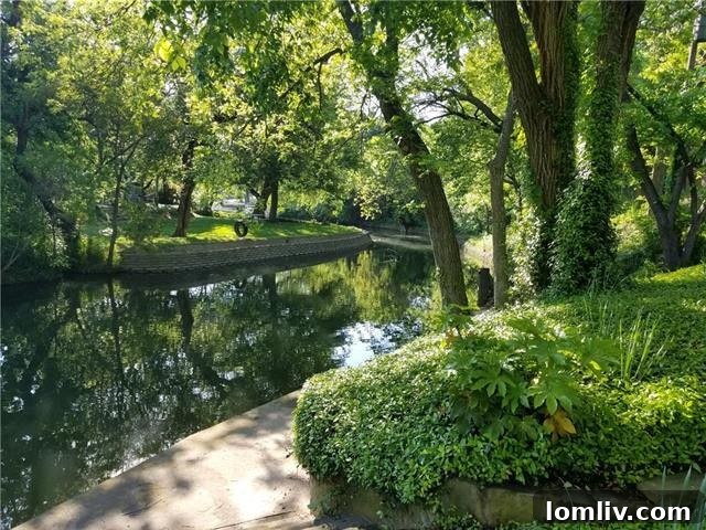 Lush backyard with mature trees and direct access to Malon Creek in Farmers Branch, offering a serene waterfront living experience.