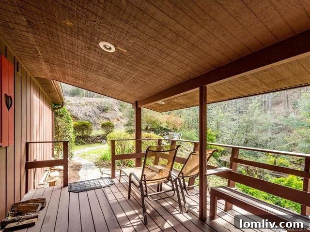 Deceptively Simple Exterior, Intriguingly Complex Interior 4 Scenic mountain landscape surrounding the Saluda home