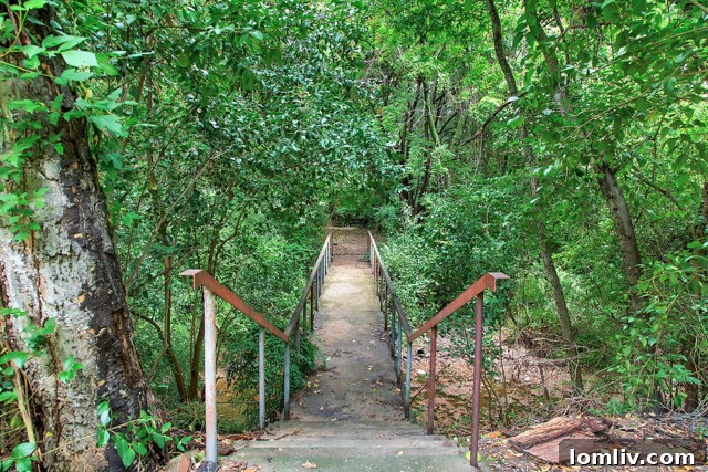 Scenic Walkway Leading to the Creek on Property