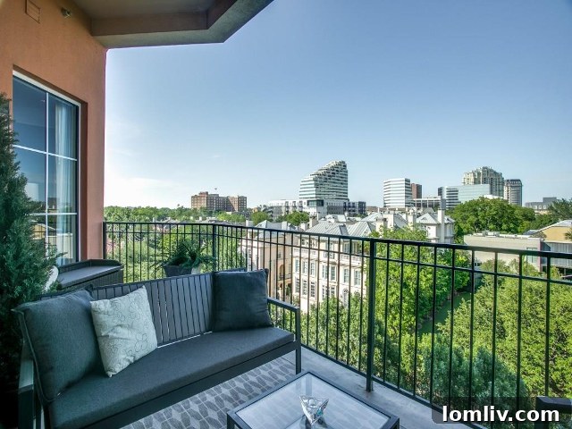 Final view: mansions and quasi-park from the high-rise.